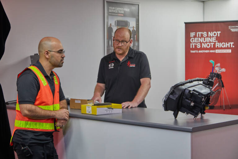 truck genuine parts Hino